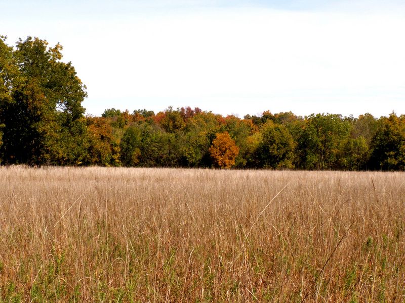Pontotoc Ridge Preserve Oklahoma's Official Travel